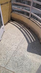 Balcony Image of 700 Sq.ft 1 BHK Builder Floor for rent in Hauz Khas New Delhi for Rs. 40000