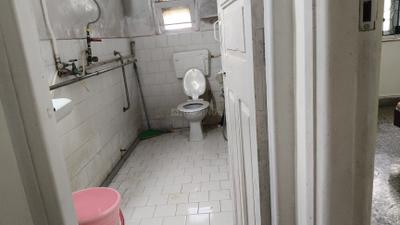 Image of 800 Sq.ft 2 BHK Apartment / Flat for rent in Andheri West, Mumbai for Rs. 75000