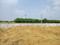 Knowledge Park 2 Plot View 2