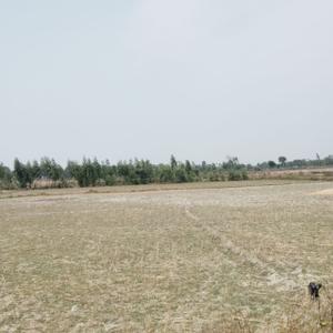Image of 35000 Sq.ft Residential Plot / Land for sale in Ganja, Ayodhya for Rs. 45000000