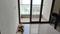 Raj Hir Asha Sky Living Room 1