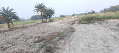 Image of 1200 Sq.ft Residential Plot / Land for sale in Adarsh Nagar, Samastipur for Rs. 1621200