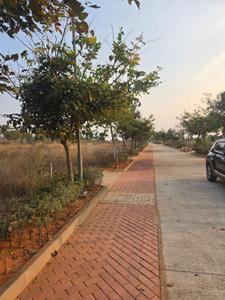 Tivoli Hills Plot View 3