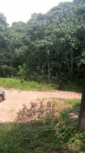 Image of 3876 Sq.ft Residential Plot / Land for sale in Mulanthuruthy, Kochi for Rs. 225000