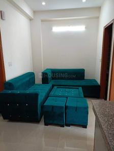 Hall Image of 1300 Sq.ft 3 BHK Apartment / Flat for sale in Said-Ul-Ajaib New Delhi for Rs. 15000000
