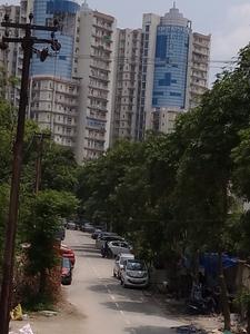 Image of DHAPO PG 3 TIME FOOD EVERYDAY in Sector 62, Noida
