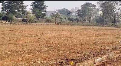 Desapathrunipalem Plot View 1