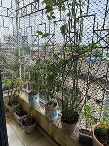 Balcony Image of 915 Sq.ft 2 BHK Apartment / Flat for sale in Badlapur West Badlapur for Rs. 4200000