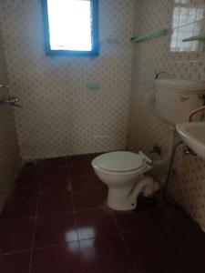 Common Bathroom Image of 1701 Sq.ft 3 BHK Apartment / Flat for rent in Wanowrie Pune for Rs. 48000