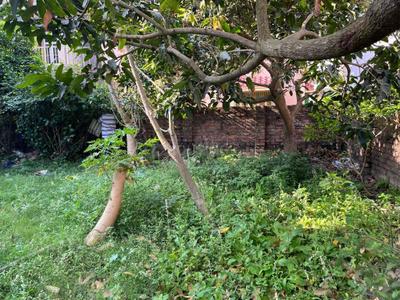 Image of 2722 Sq.ft Residential Plot / Land for sale in Barrackpore, Kolkata for Rs. 6000000