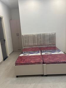 Bedroom Image of 1000 Sq.ft 2 BHK Independent House for rent in Old City Bathinda for Rs. 21000