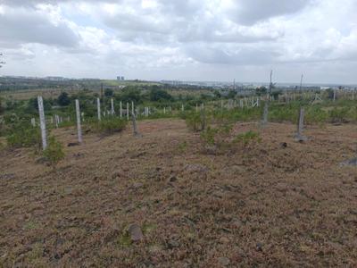 Image of 1165 Sq.ft Residential Plot / Land for sale in Lohegaon, Pune for Rs. 3604000