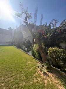 Image of 6000 Sq.ft 4 BHK Independent House for sale in Sector 12, Gurgaon for Rs. 100000000