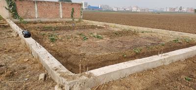 Image of 1200 Sq.ft Residential Plot / Land for sale in Ranipur, Patna for Rs. 5200000