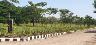 Image of 2000 Sq.ft Residential Plot / Land for sale in Treetopia Phase 3, Jadhavwadi, Saswad, Pune for Rs. 8900000
