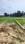 North Malaka Plot View 2