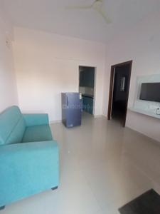 Hall Image of 700 Sq.ft 1 BHK Apartment / Flat for rent in Hitech City Hyderabad for Rs. 29000