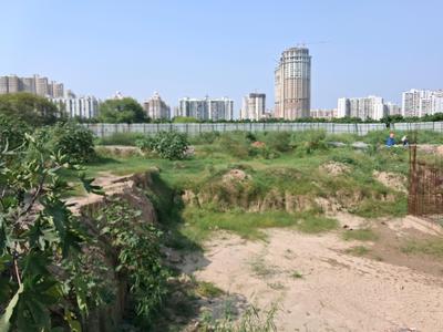 Image of 100 Sq.ft Residential Plot / Land for sale in Centrum Estates 76, Sector 76, Noida for Rs. 15500000