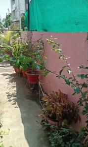 Balcony Image of 800 Sq.ft 1 BHK Independent House for rent in Manewada Nagpur for Rs. 16000