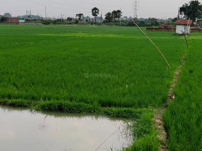 Image of 872 Sq.ft Residential Plot / Land for sale in Naubatpur, Patna for Rs. 2700000