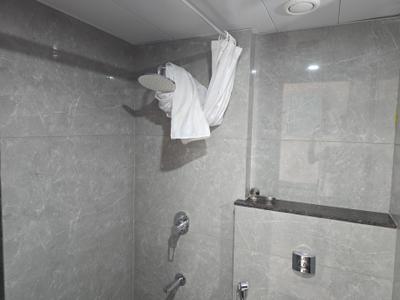 Bathroom Image of 270 Sq.ft 1 RK Apartment / Flat for rent in VJ IndiLife, Pashan Pune for Rs. 24000