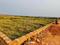 Patrapada Plot View 2