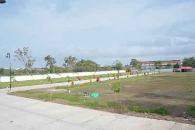 Vadner Dumala Plot View 3