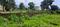 Jamoliwala, Bhagwant Pur Plot View 2
