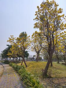 Image of 1047 Sq.ft Residential Plot / Land for sale in Moudhapara, Raipur for Rs. 1573000