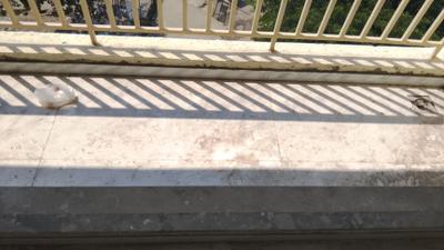 Balcony Image of 725 Sq.ft 1 BHK Apartment / Flat for sale in Creative Marvel, Ulwe Navi Mumbai for Rs. 5600000