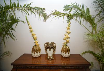 Image of 3000 Sq.ft 5 BHK Villa for sale in Jagatpura, Jaipur for Rs. 23000000