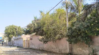 Image of 1260 Sq.ft Residential Plot / Land for sale in Knowledge Park 3, Greater Noida for Rs. 2500000