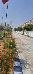 Image of 407 Sq.ft Residential Plot / Land for sale in Jaisinghpura, Jaipur for Rs. 26500000