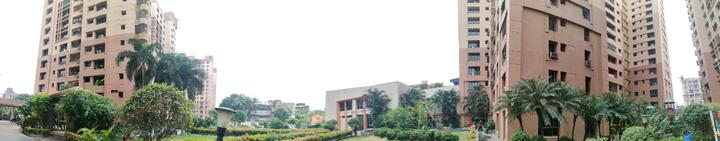 Ekta Floral Main Image 1