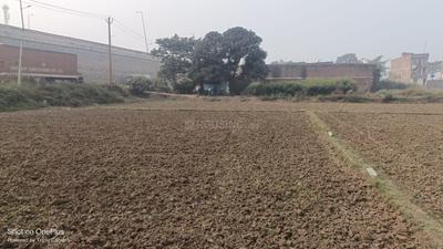 Madhusudan Property Plot View 2