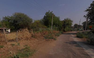 Pipalgone Plot View 3