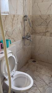 Bathroom Image of 580 Sq.ft 1 RK Apartment / Flat for rent in SBP Homes Gardenia, Sector 126 Mohali for Rs. 14000