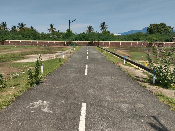 Karamadai Main Image 1