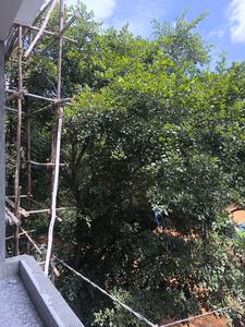 Bedroom Four Image of 3150 Sq.ft 5 BHK Apartment / Flat for sale in Vajarahalli Bengaluru for Rs. 29000000
