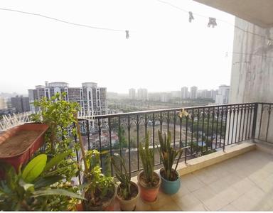 Balcony Image of 1930 Sq.ft 3 BHK Apartment / Flat for sale in DLF The Skycourt, Sector 86 Gurgaon for Rs. 23000000