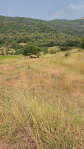 Image of 11000 Sq.ft Residential Plot / Land for sale in Kikvi, Pune for Rs. 1900000