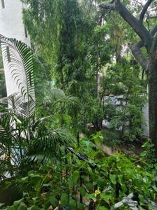 Balcony Image of 1000 Sq.ft 2 BHK Apartment / Flat for rent in Sangamvadi Pune for Rs. 55000