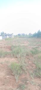 Image of 1200 Sq.ft Residential Plot / Land for sale in Ramasandra Anekal Taluka, Bengaluru for Rs. 3630000
