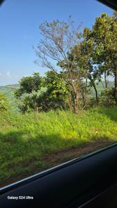 Image of 11000 Sq.ft Residential Plot / Land for sale in Jambhe, Pune for Rs. 1100000