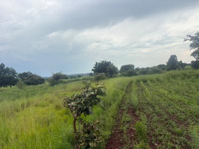 Image of 500 Sq.ft Residential Plot / Land for sale in Shankarpally, Hyderabad for Rs. 4000000