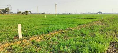 Image of 1200 Sq.ft Residential Plot / Land for sale in Bihta, Patna for Rs. 1600000