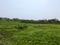 R.K.Pally Plot View 2