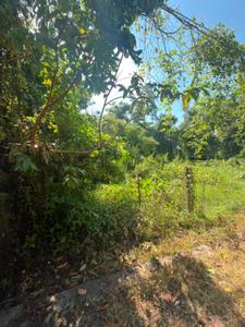dharapur guwahati Plot View 3