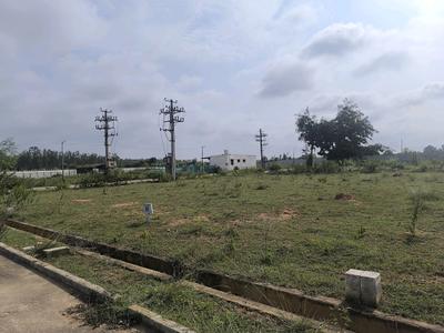 Residential Plot