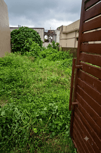 Image of 244 Sq.ft Residential Plot / Land for sale in Phulsani, Dehradun for Rs. 5368000